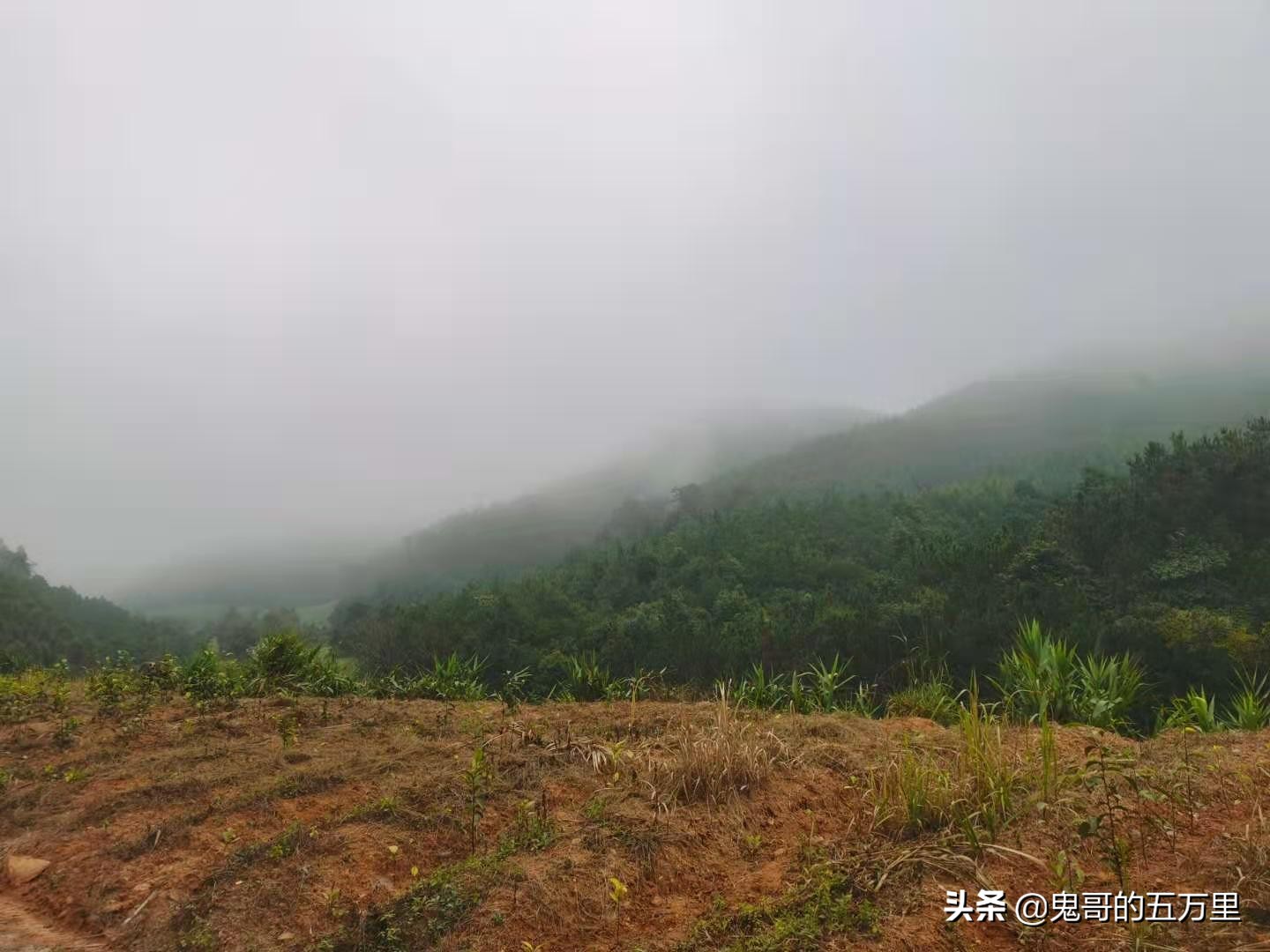 鬼哥的五万里D100骑记：100天了（永平镇-临沧市临翔区）