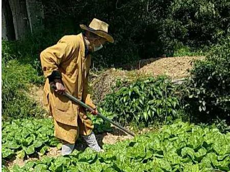 抢抓农时开展农业生产,农民纷纷抢抓春耕生产有利时机