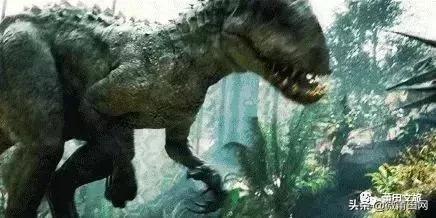 湄洲岛好玩还是九龙谷,去莆田先到九龙谷还是湄洲岛