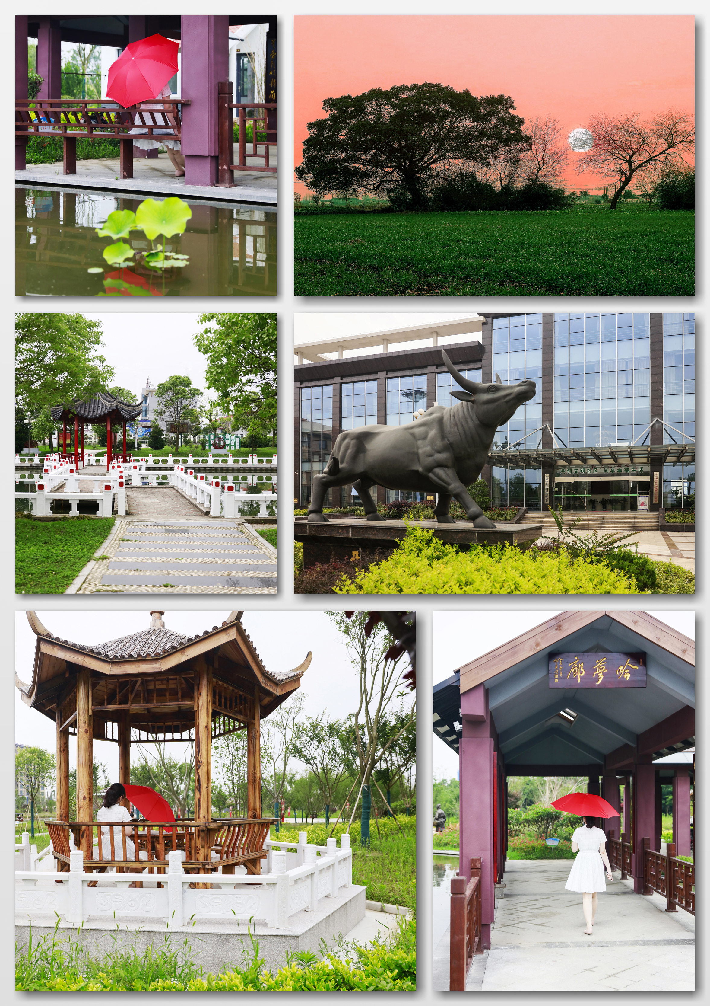 海安市曲塘,江苏海安市曲塘