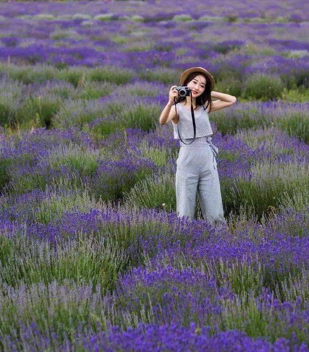 长安水边多丽人,长安水边多丽人全文