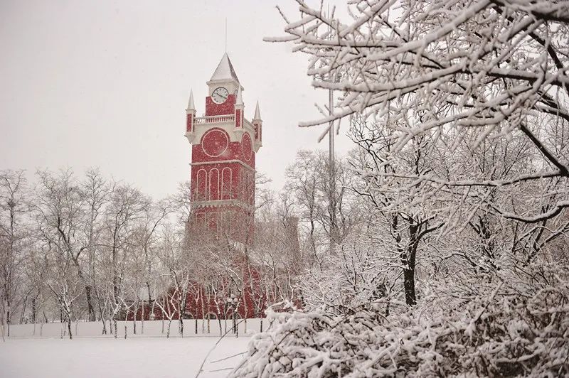 让那熟悉的旋律《绿岛》，带你我推开新学期的大门！