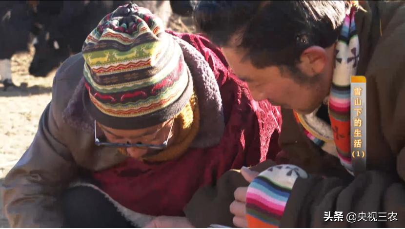 贫困户申请*款贷**2年都被拒绝，什么情况？