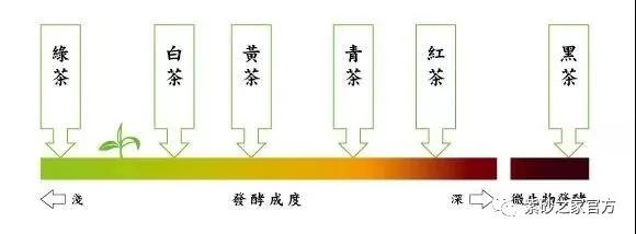 几块钱的茶怎么喝出几千块的效果,为什么这么便宜的茶泡起来很浓