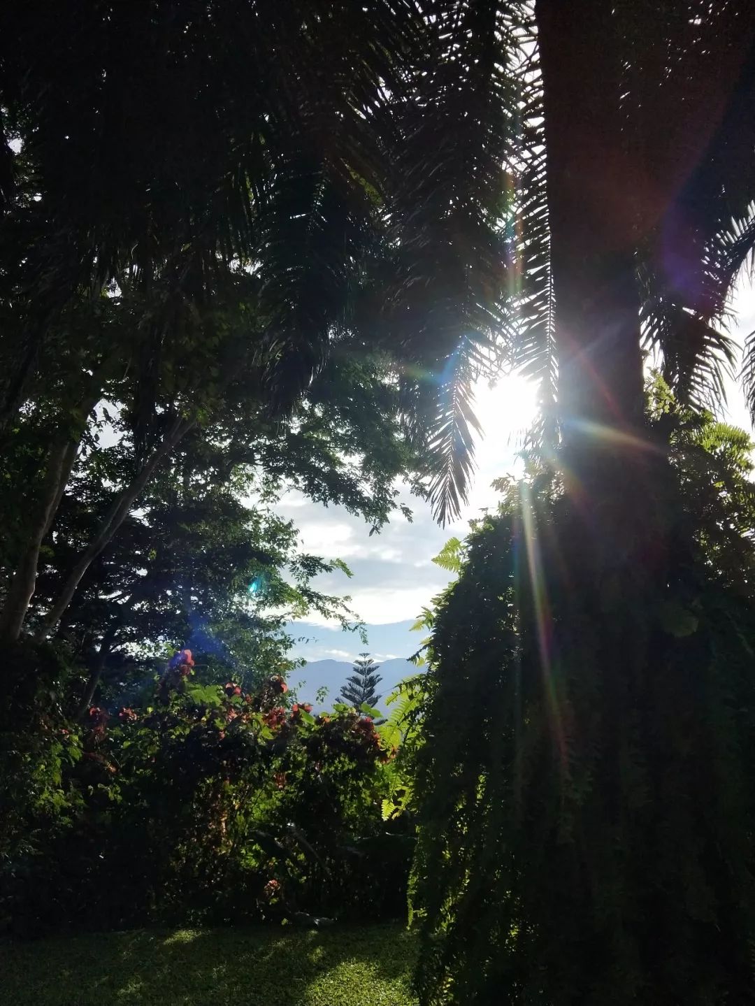 袁金奎老师国画作品欣赏,袁金奎写意花鸟画作品