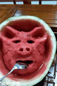 小萝莉搞笑图片,搞笑gif我知道你是个妹子