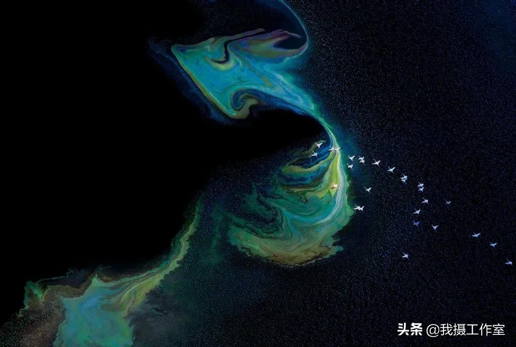 第16届国际摄影艺术展获奖作品,第29届全国摄影艺术展览作品集