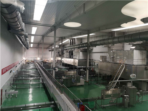 闈炰竴鑸殑鍥涘窛,闈炰竴鑸殑鐗涘ザ