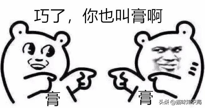 营养膏有营养吗,好吃又不贵的猫粮营养膏