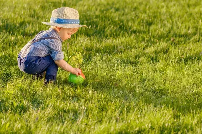 适合3岁宝宝玩的球类游戏,三岁锻炼耐心和专注力的亲子游戏
