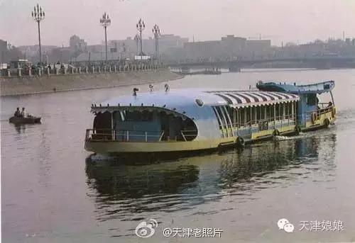 麦兜几岁,麦兜出生