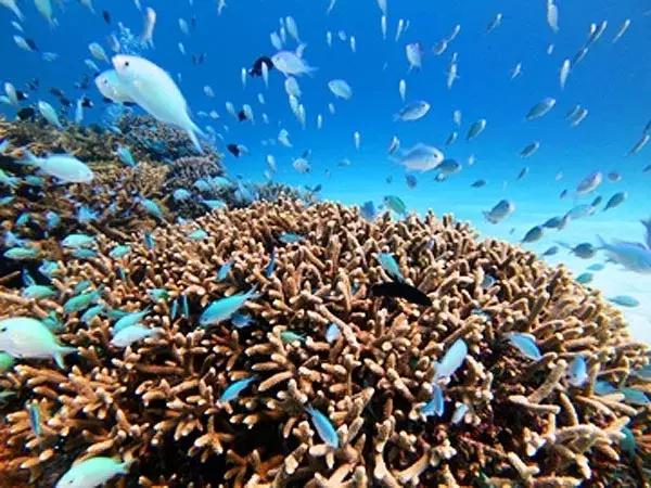 冲绳玩法大全,冲绳攻略2017