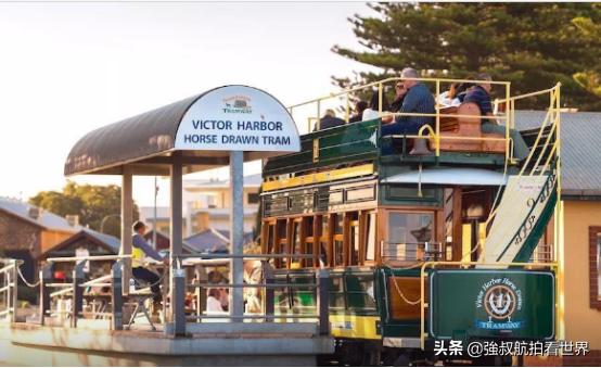 去南澳州旅游怎么样,去南澳旅游要不要做攻略