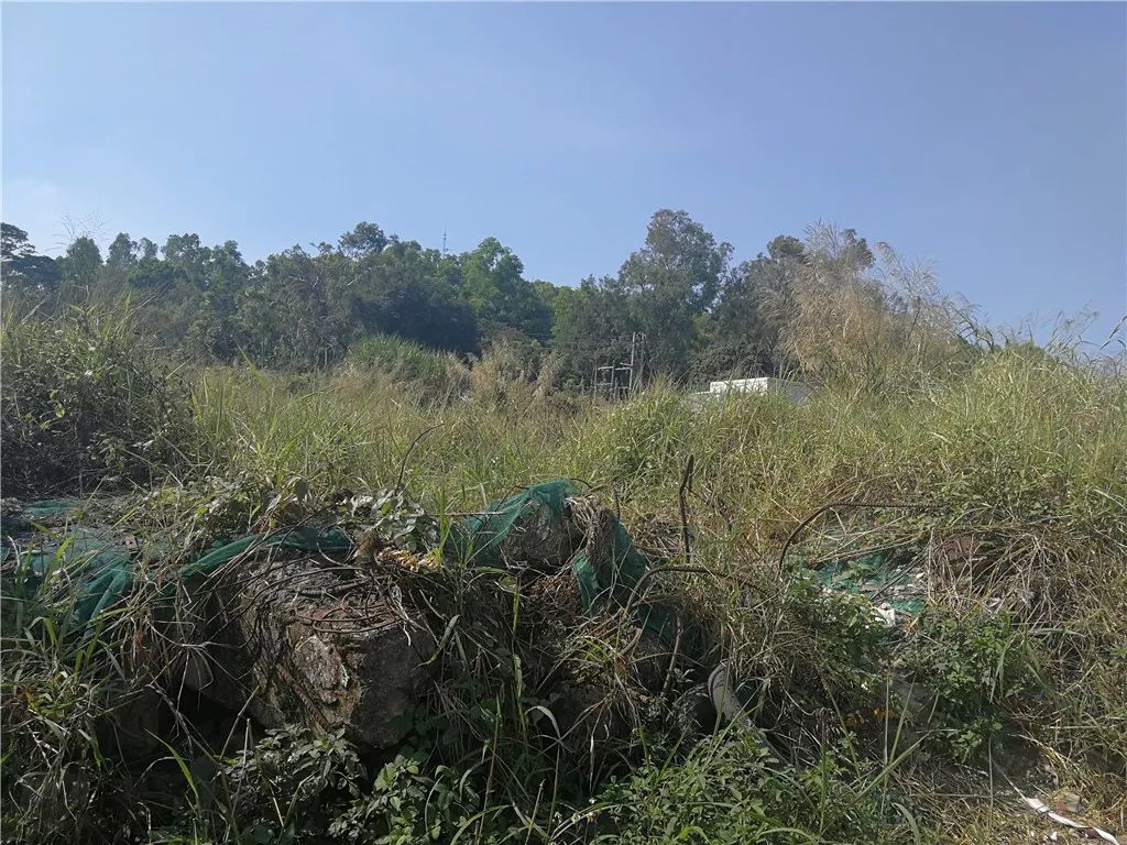 观澜鸿荣源旧改缺点,观澜鸿荣源旧改一期预计明年选房