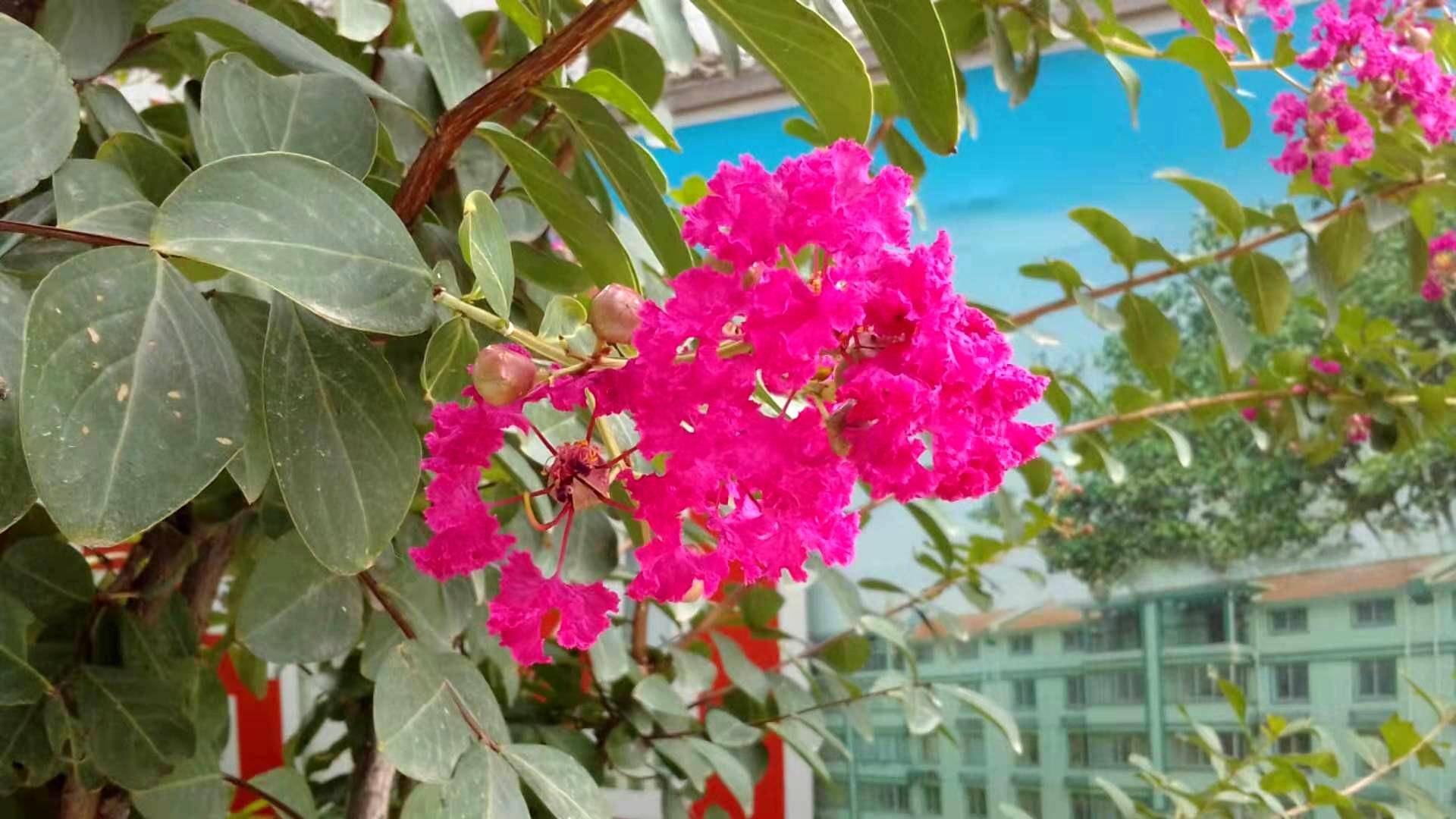 多亲ai助手手机耐用,多亲ai助手的区别