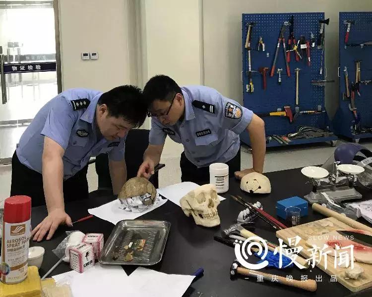 10部好看的法医悬疑电影,2022年度10部好看的法医悬疑电视剧