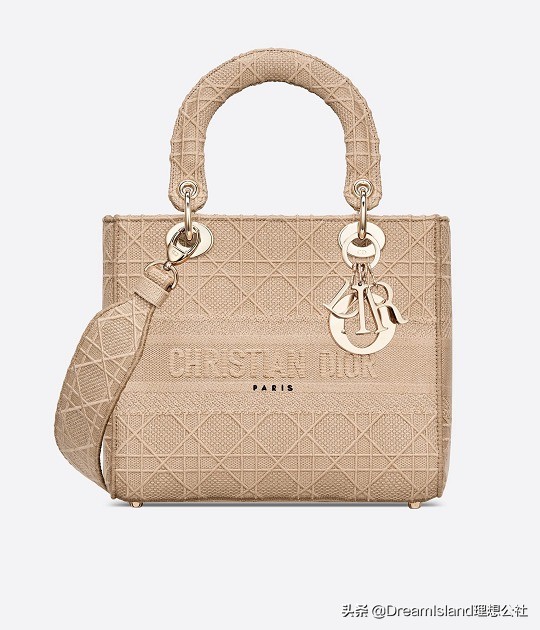 dior新款刺绣帆布托特包,刺绣马鞍包dior2019