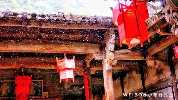 寻着浓浓年味儿,寻着春的气息来踏青