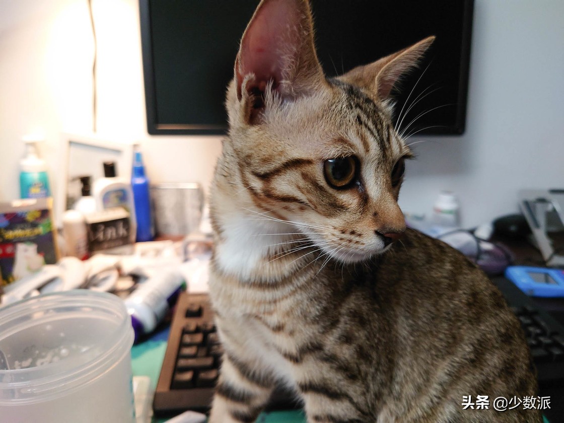 2020年索尼手机用起来如何？Xperia1II体验