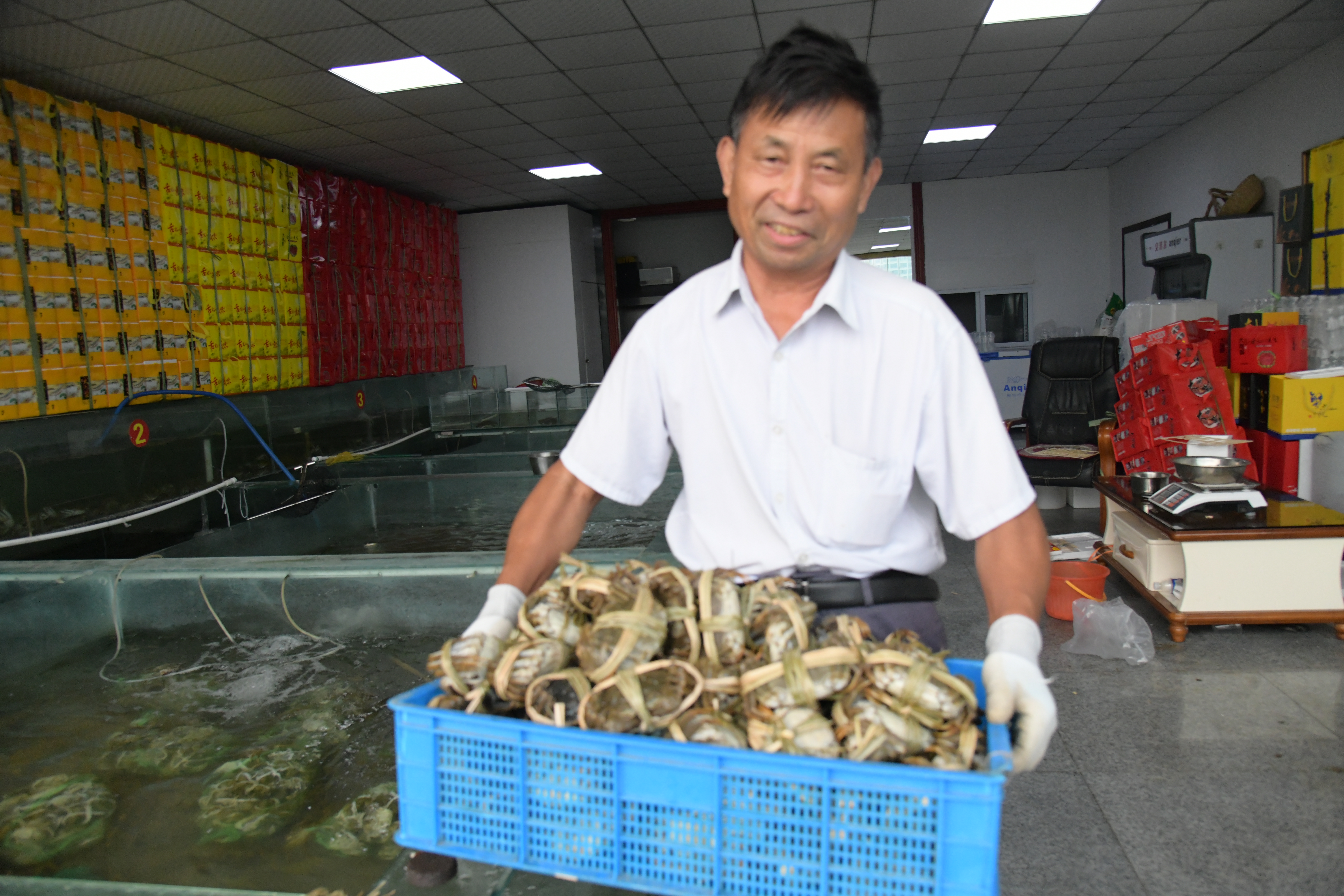洪泽湖大闸蟹交易市场,洪泽湖大闸蟹批发价格最新行情