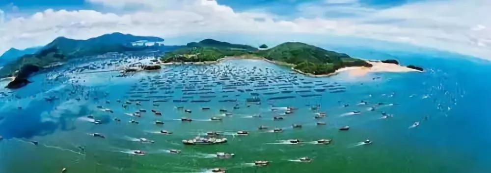 这些中国之最你知道吗,中国之最全部视频