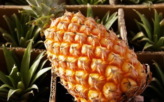 南国四大果品有哪几种,南国四大果菠萝
