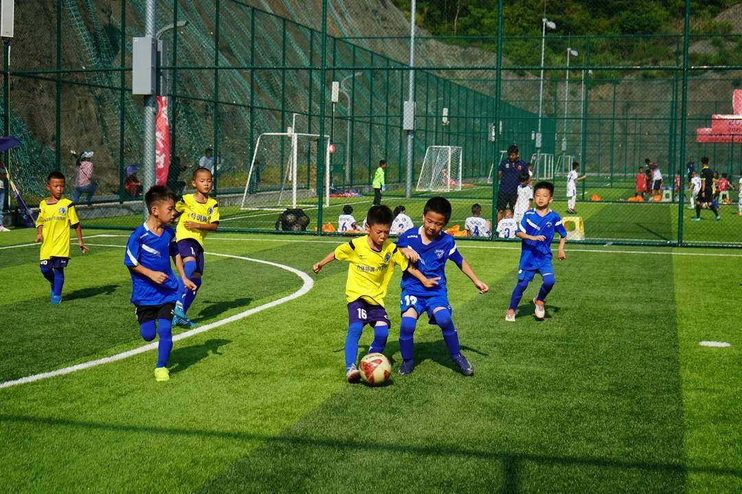 卡尔美五洲杯赛事,卡尔美星耀五洲杯直播