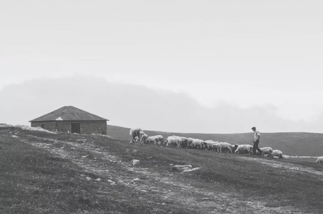摄影小白适合拍什么,摄影小白拍人像用什么好