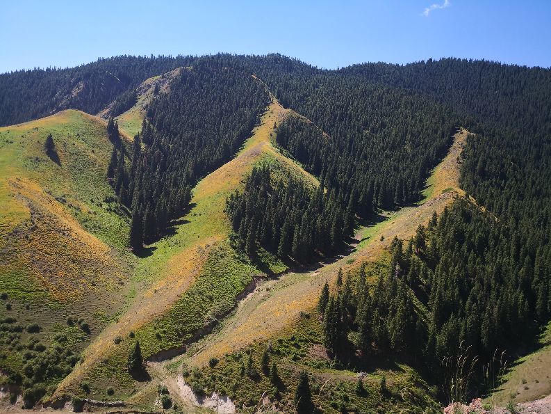 江布拉提照片,江布拉提农家乐