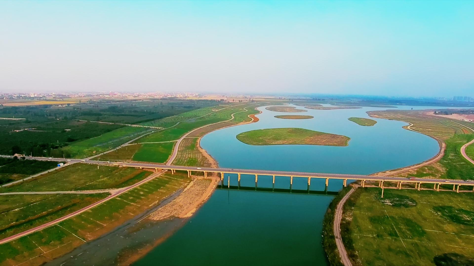 又一大片花海惊艳滹沱河,滹沱河生态景区滹沱花海