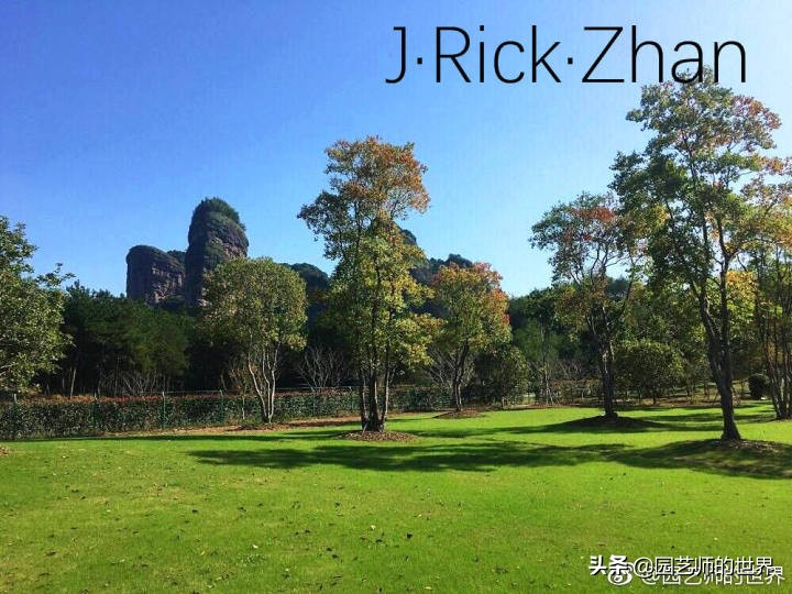 怎么种植草坪不长杂草,如何养好草坪