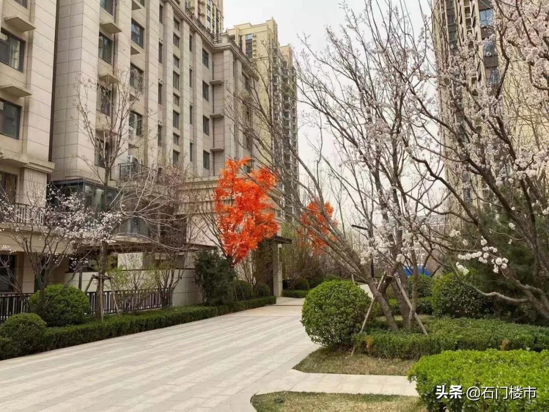 实探|一环那个名字霸气、房价贼贵的小区真的快卖完了