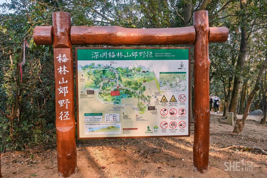 深圳商场爆满,深圳为什么商场那么多