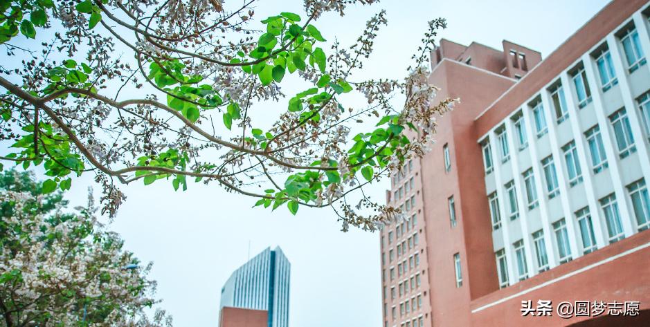 为什么医科类211只有天津医科大学,天津医科大学有什么好的专业