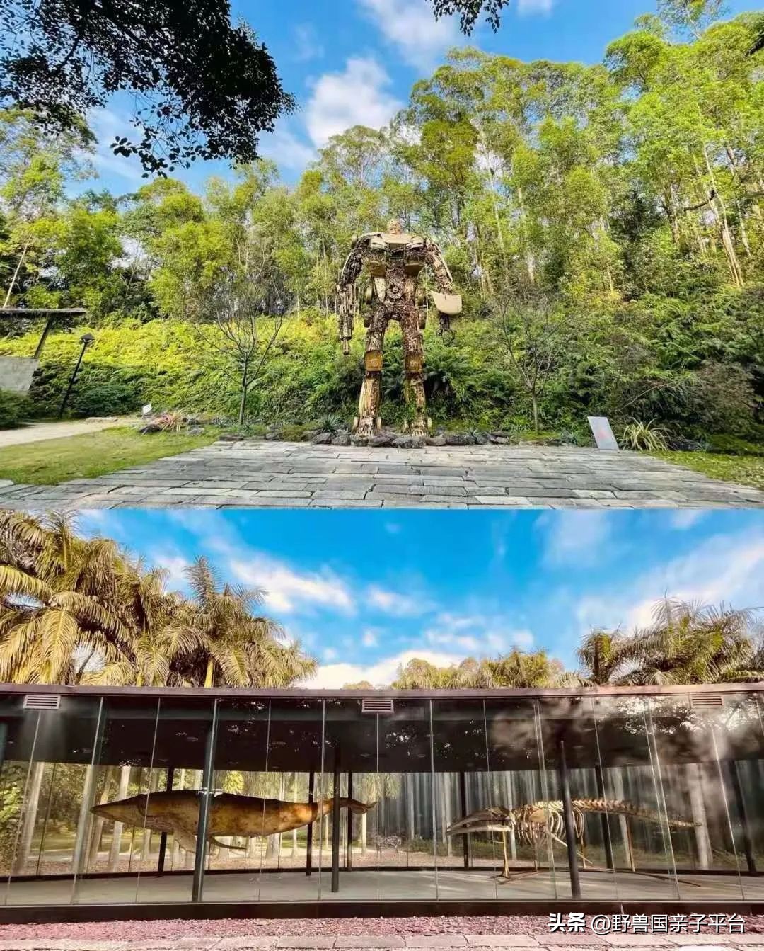 广州遛娃旅游推荐路线攻略,广州遛娃清单升级版