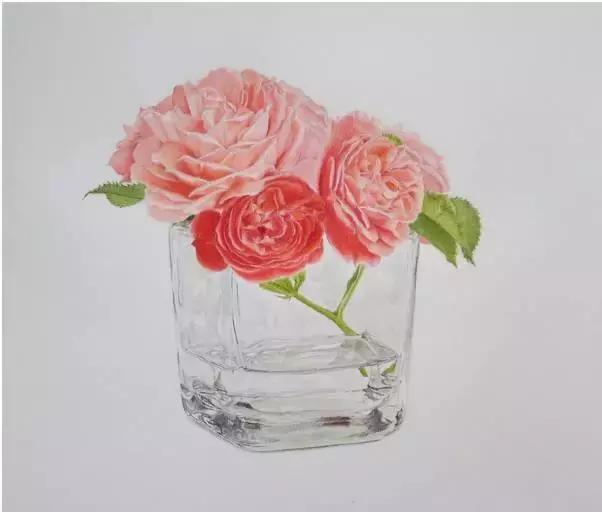 动漫手绘教程水溶彩铅上色技法,彩铅动物毛发技法绘画教程视频