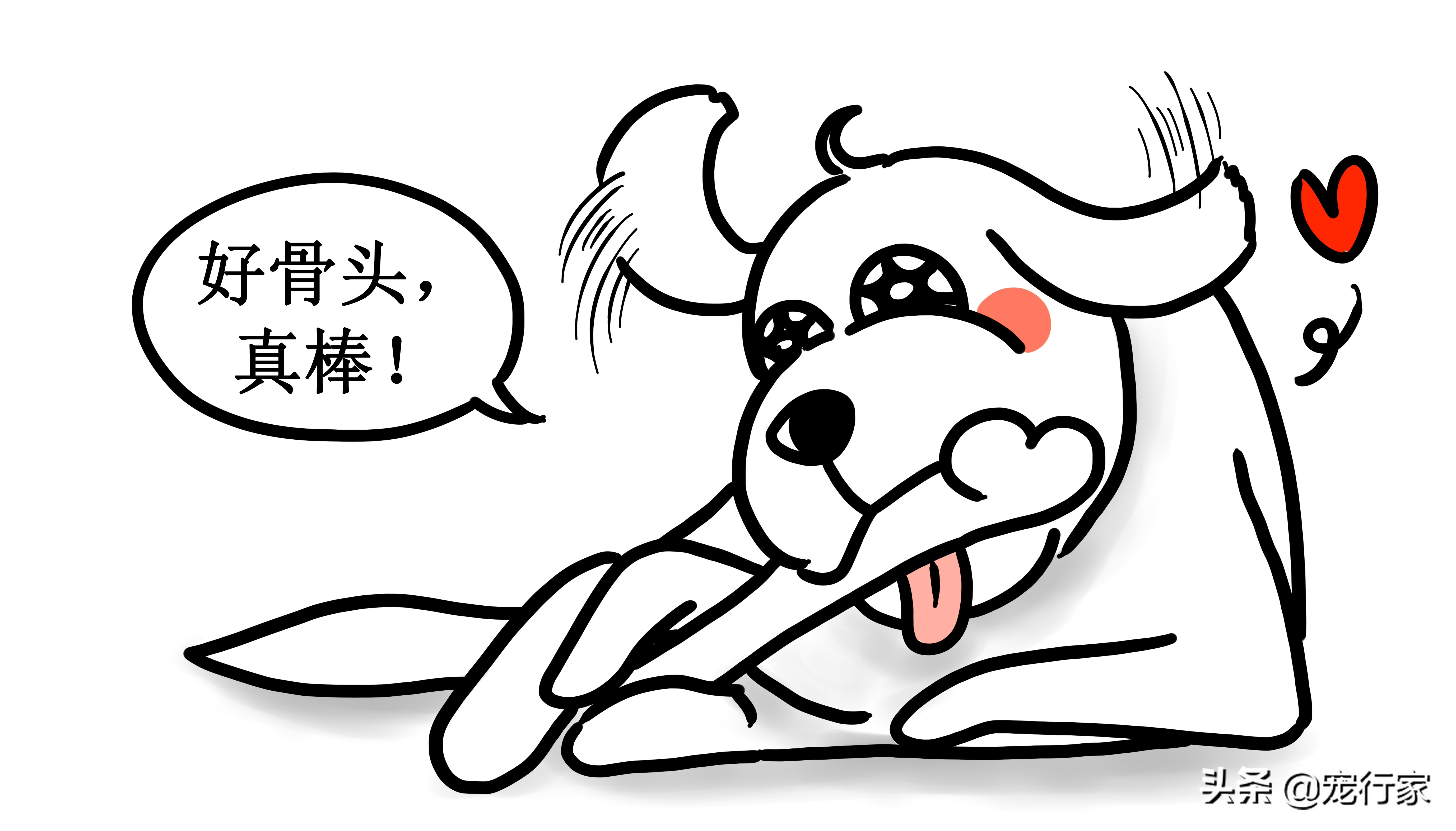 狗狗啃鸡骨头了怎么办,狗狗卡骨头解决方法