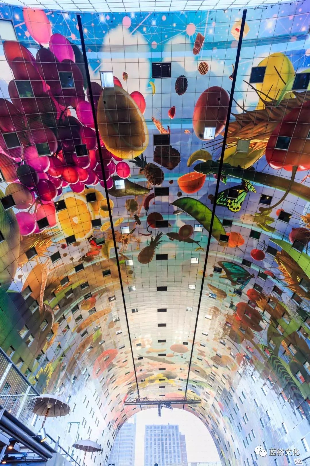 惊喜体验！荷兰的工业旅游和主题乐园-蓝裕文化