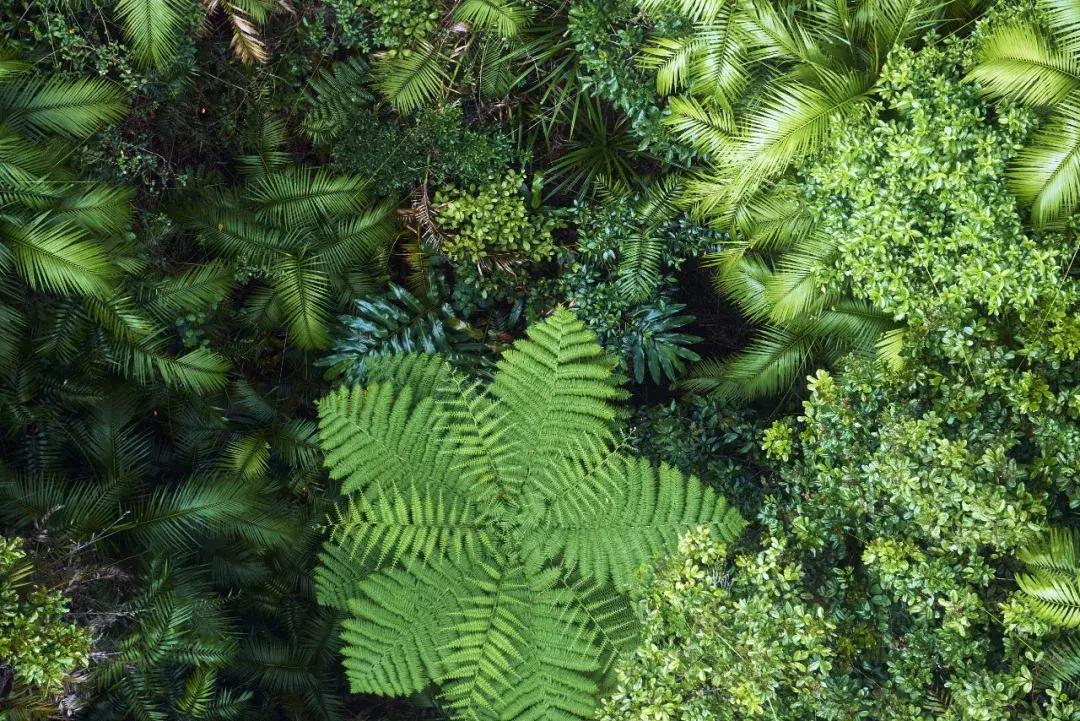 最新澳洲签证时间,2023澳洲签证申请多久出结果