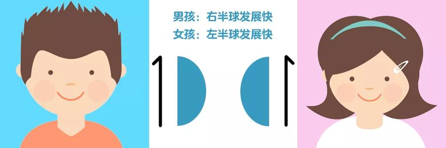 男女大脑发育有先天差异吗,男孩的大脑发育要比女孩儿的晚