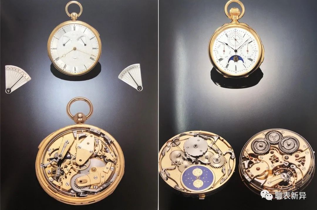 百里鸽是什么鸽,百里鸽是什么鸽图片