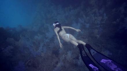 帕劳岛自由行潜水,帕劳水母湖自由潜视频