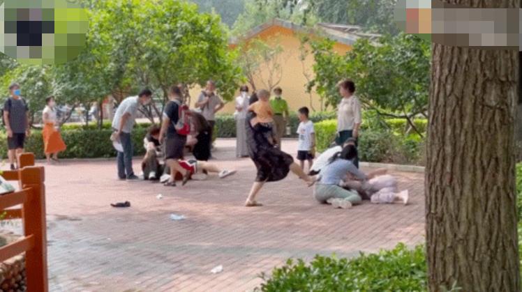 北京动物园打架事件原因是什么,北京动物园两虎打斗