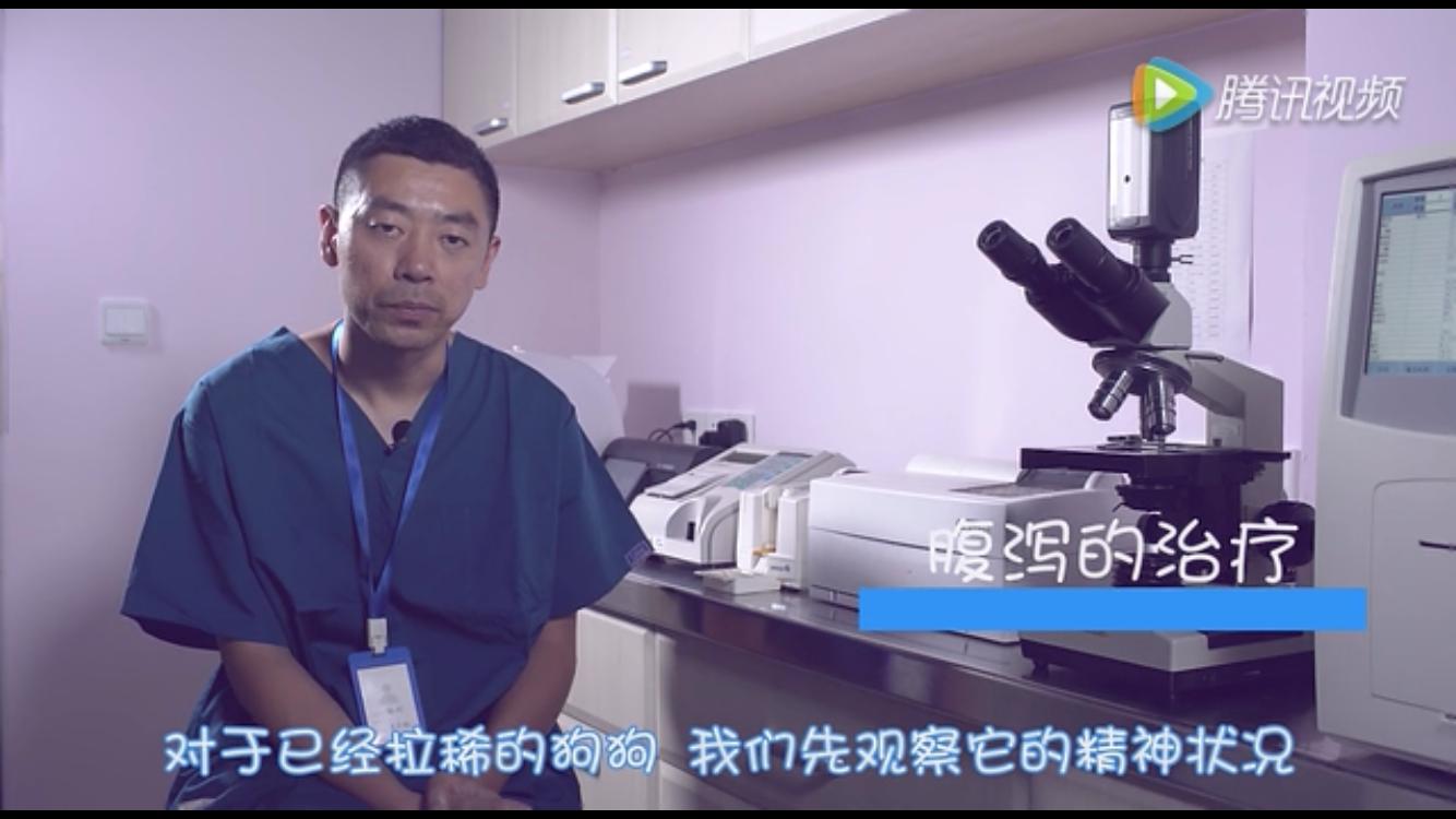 狗狗拉肚子怎么办精神很好,狗狗拉肚子腹泻放屁怎么办