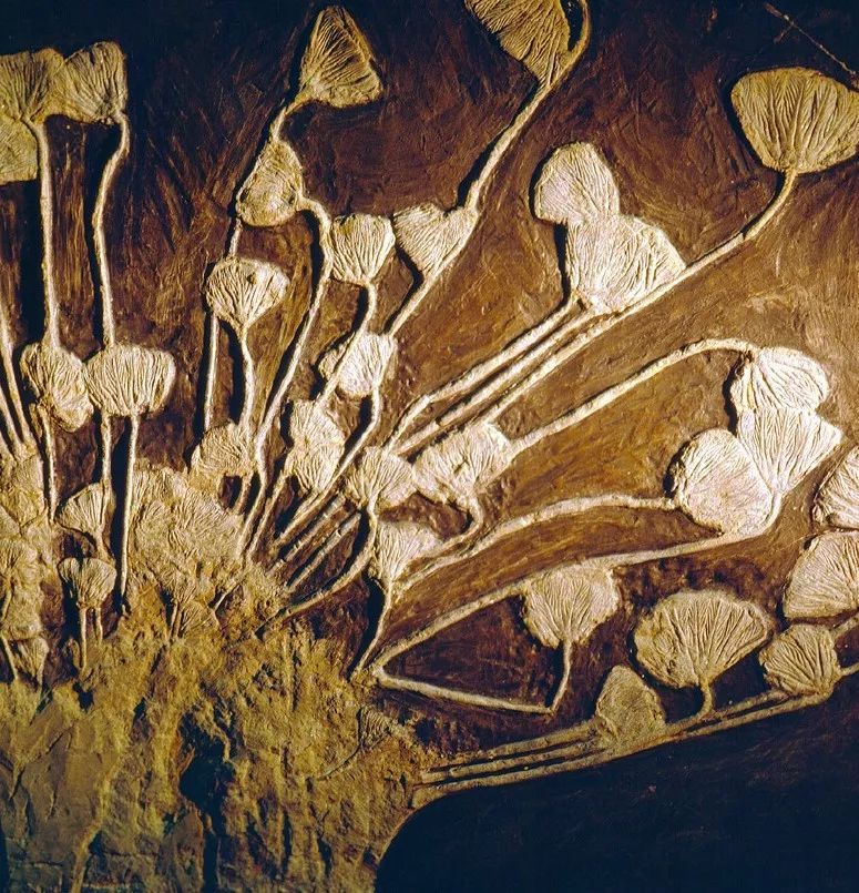 不可思议的多彩贵州,多彩贵州有几个系列