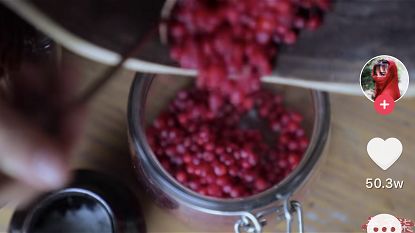 分镜头脚本简单版,知识分享分镜头脚本