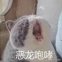 拜托！散粉不是你这样用的