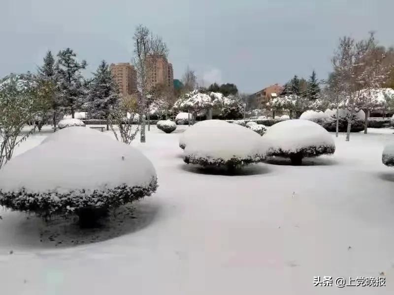 新闻来了完整版,2019年山西长治的第一场雪