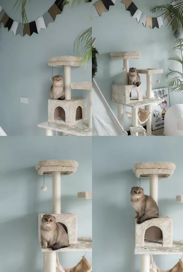 绝美大阳台,这是什么神仙颜值的房子