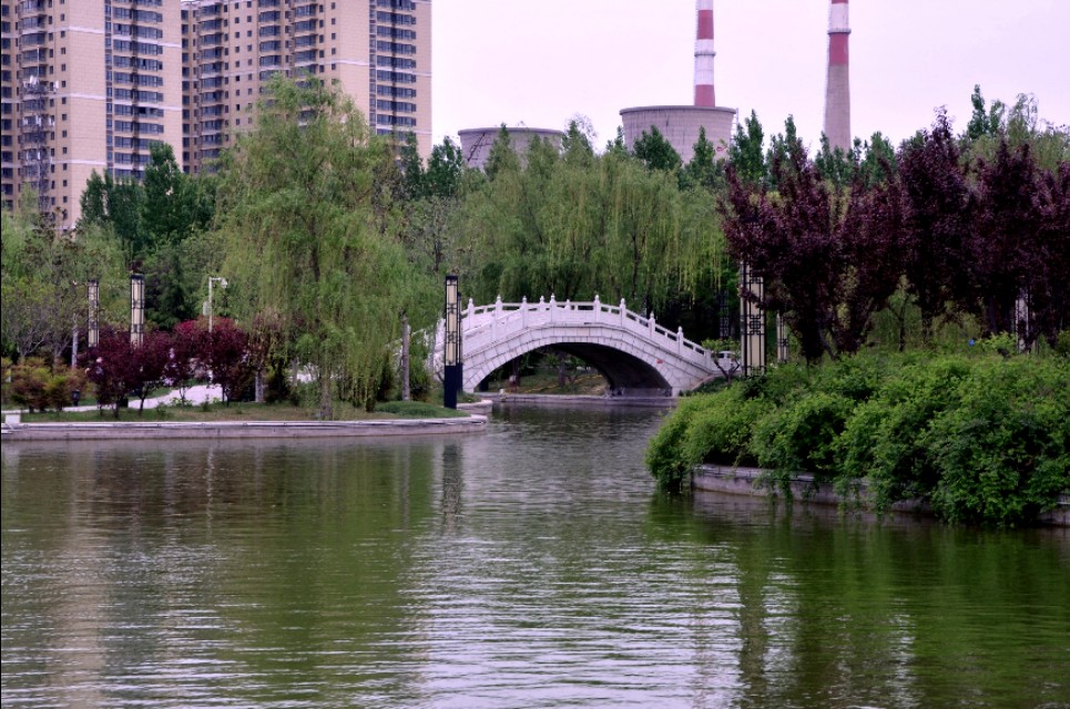 如果你路过西郊,有幽香沁入心脾,那定是从红光公园飘来的槐花香